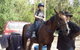 AAA Horse Riding & More - thumb 1