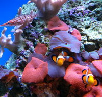 Tropical Marine Centre - Winery Find
