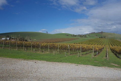 Wine Compass - Winery Find 1