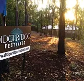 Didgeridoo Jam in the Park - Winery Find