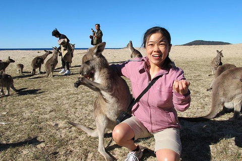 Batemans Bay Full-Day Tour From Canberra Including Indigenous Experience - Winery Find 0