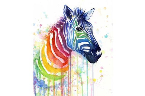 Rainbow Zebra - 65 Northbourne 7.30-9.30pm - Winery Find 0