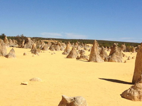 Pinnacles Desert, Koalas And Sandboarding 4WD Day Tour From Perth - Winery Find 15