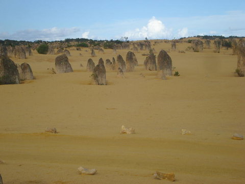 Pinnacles Desert, Koalas And Sandboarding 4WD Day Tour From Perth - Winery Find 23