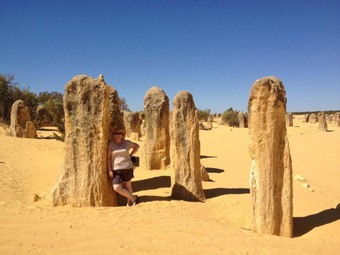 Pinnacles Desert, Koalas And Sandboarding 4WD Day Tour From Perth - Winery Find 17