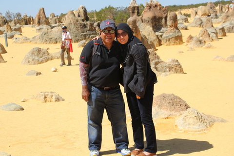 Pinnacles Desert, Koalas And Sandboarding 4WD Day Tour From Perth - Winery Find 12