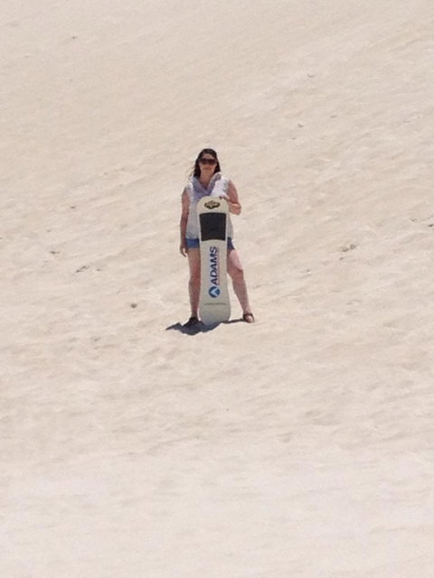 Pinnacles Desert, Koalas And Sandboarding 4WD Day Tour From Perth - Winery Find 21