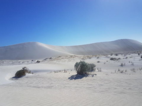 Pinnacles Desert, Koalas And Sandboarding 4WD Day Tour From Perth - Winery Find 2