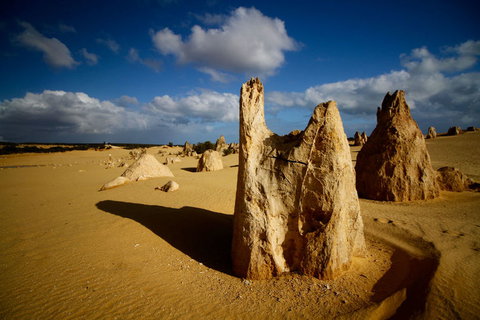 Pinnacles Desert, Koalas And Sandboarding 4WD Day Tour From Perth - Winery Find 6