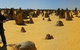 Pinnacles Desert, Koalas And Sandboarding 4WD Day Tour From Perth - thumb 11