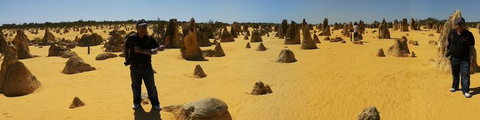 Pinnacles Desert, Koalas And Sandboarding 4WD Day Tour From Perth - Winery Find 11