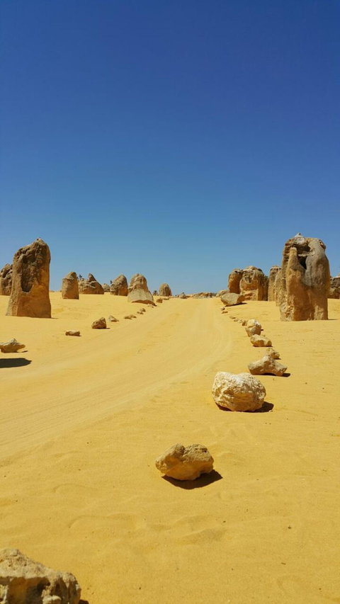Pinnacles Desert, Koalas And Sandboarding 4WD Day Tour From Perth - Winery Find 3