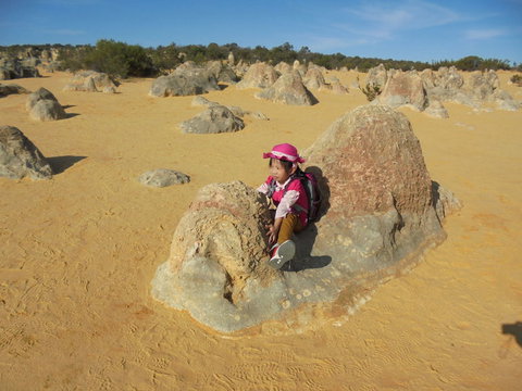 Pinnacles Desert, Koalas And Sandboarding 4WD Day Tour From Perth - Winery Find 7