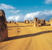 Pinnacles Desert Koalas and Sandboarding 4WD Day Tour from Perth - Winery Find