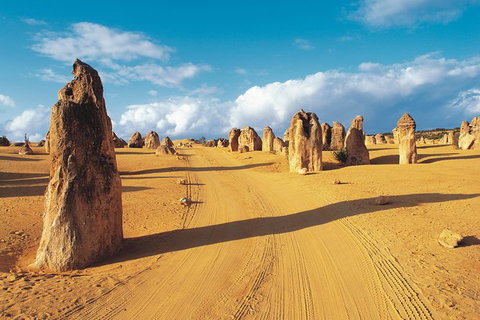Pinnacles Desert, Koalas And Sandboarding 4WD Day Tour From Perth - Winery Find 0