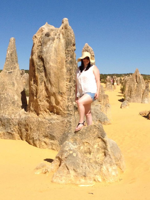 Pinnacles Desert, Koalas And Sandboarding 4WD Day Tour From Perth - Winery Find 16