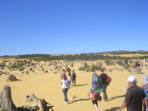 Pinnacles Desert, Koalas And Sandboarding 4WD Day Tour From Perth - Winery Find 25