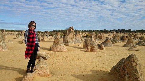 Pinnacles Desert, Koalas And Sandboarding 4WD Day Tour From Perth - Winery Find 13