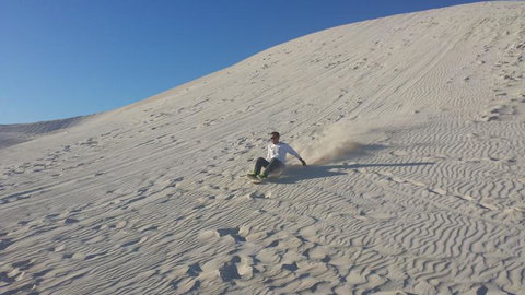Pinnacles Desert, Koalas And Sandboarding 4WD Day Tour From Perth - Winery Find 14