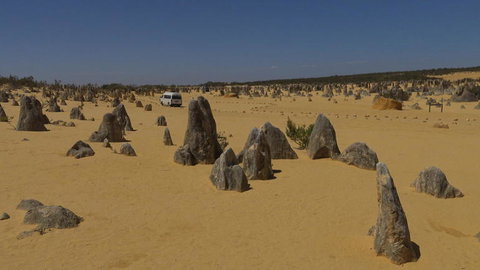 Pinnacles Desert, Koalas And Sandboarding 4WD Day Tour From Perth - Winery Find 4
