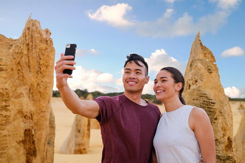 Pinnacles Desert, Koalas And Sandboarding 4WD Day Tour From Perth - Winery Find 27