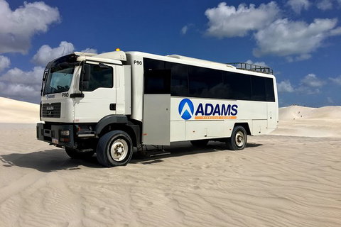 Pinnacles Desert, Koalas And Sandboarding 4WD Day Tour From Perth - Winery Find 28