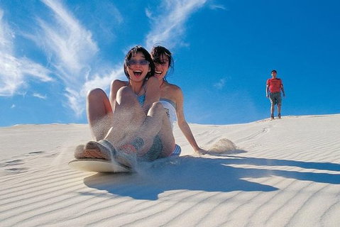 Pinnacles Desert, Koalas And Sandboarding 4WD Day Tour From Perth - Winery Find 30