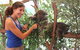 Pinnacles Desert, Koalas And Sandboarding 4WD Day Tour From Perth - thumb 29