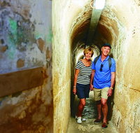Rottnest Island Full-Day Trip With Guided Island Tour From Perth - Winery Find