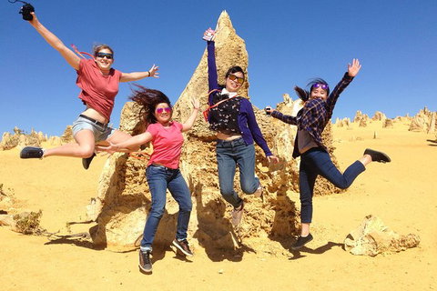 Pinnacles And Swan Valley Day Trip From Perth Including Caversham Wildlife Park, Vineyard Lunch, Pinnacles And Sandboarding - Winery Find 0