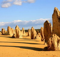 Pinnacles and Yanchep National Park Day Trip from Perth Including Lobster Shack Lunch and Sandboarding - Winery Find