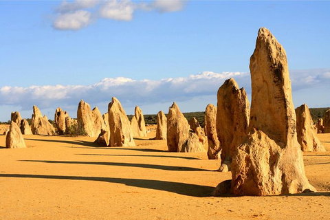 Pinnacles And Yanchep National Park Day Trip From Perth Including Lobster Shack Lunch And Sandboarding - Winery Find 9