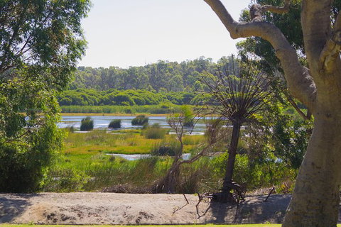 Pinnacles And Yanchep National Park Day Trip From Perth Including Lobster Shack Lunch And Sandboarding - Winery Find 10