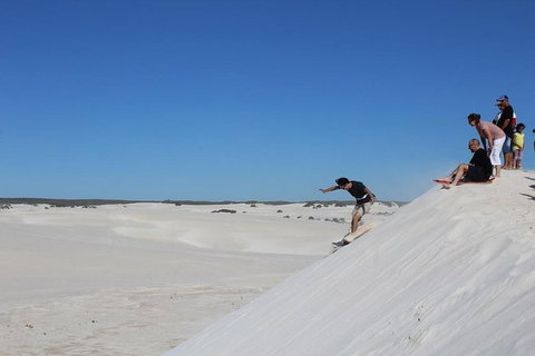 Pinnacles And Yanchep National Park Day Trip From Perth Including Lobster Shack Lunch And Sandboarding - Winery Find 4