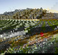Margaret River Caves Wine and Cape Leeuwin Lighthouse Tour from Perth - Winery Find