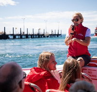 Rottnest Island Tour from Perth or Fremantle including Adventure Speed Boat Ride - Winery Find