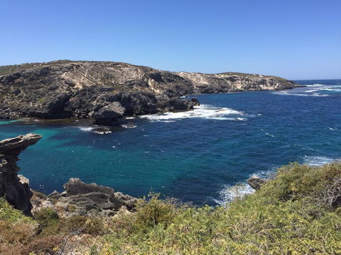 Rottnest Island Tour From Perth Or Fremantle Including Bus Tour - Winery Find 3