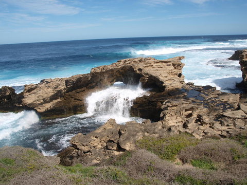 Rottnest Island Tour From Perth Or Fremantle Including Bus Tour - Winery Find 5