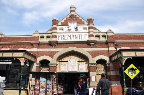Full-Day Penguin Island & Fremantle Town - Winery Find 1
