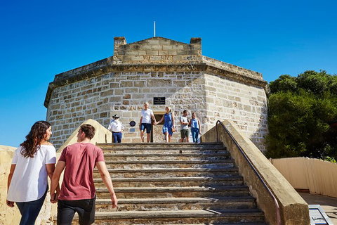 Full-Day Penguin Island & Fremantle Town - Winery Find 4