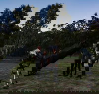 Stargazing Busselton with Mobile Observatory - Winery Find