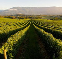 Half-Day Swan Valley Walk  Fruit Orchard - Winery Find