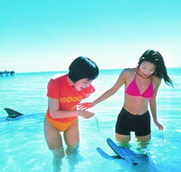 Monkey Mia Dolphins  Shark Bay Air Tour From Perth - Winery Find