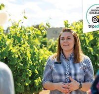 Swan Valley Wine Adventure - Half Day Premium Boutique Winery Tour - Winery Find