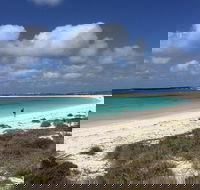 Abrolhos Island Half Day Fly and Flipper - Winery Find