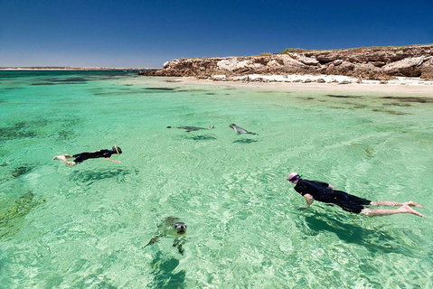 10 Day Perth To Adelaide - The Great Australian Wilderness Journey - Winery Find 6