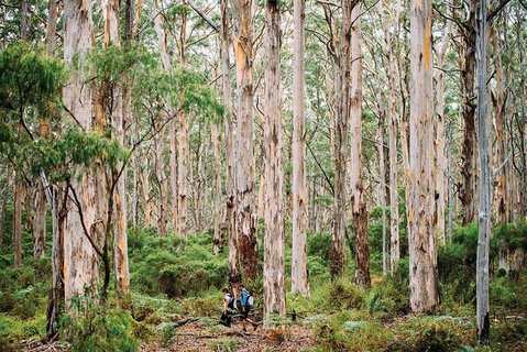 10 Day Perth To Adelaide - The Great Australian Wilderness Journey - Winery Find 18