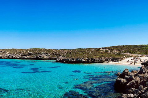 Rottnest Island Roundtrip Fast Ferry From Hillarys Boat Harbour - Winery Find 2