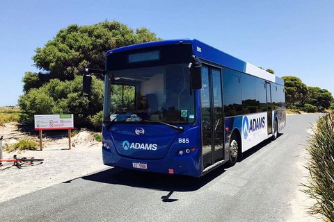 Rottnest Bayseeker Bus Tour From Hillarys Boat Harbour - Winery Find 0