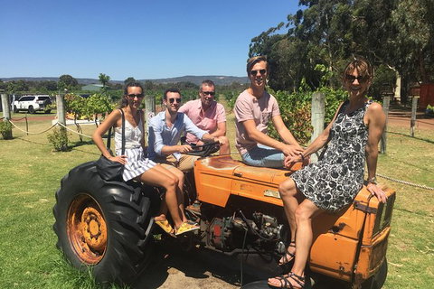 Half Day Swan Valley Wine Tour - Winery Find 6